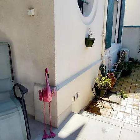 The Driant Is 50m And 150m From The Center Apartment Le Grau-du-Roi